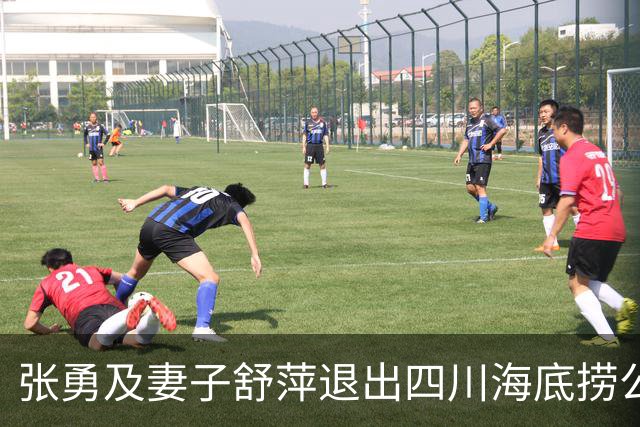 张勇及妻子舒萍退出四川海底捞公司董事会，控制权未变